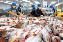 Xuất khẩu cá tra vào ASEAN tăng mạnh