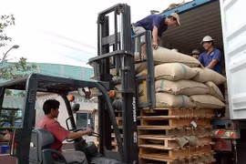 Nhiều tín hiệu vui từ xuất khẩu cà phê