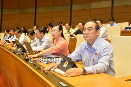Quốc hội thông qua Nghị quyết về Đề án phát triển KT-XH vùng đồng bào dân tộc thiểu số và miền núi