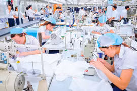 Nên có cách tiếp cận phù hợp với thị trường EU