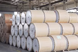 Ngành công nghiệp giấy Đông Nam Á tìm giải pháp thúc đẩy sự phát triển bền vững
