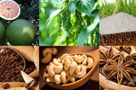 EVFTA đem lại lợi thế cho nông nghiệp Việt