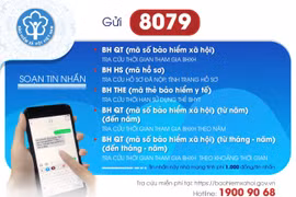Từ ngày 1/8, chỉ sử dụng đầu số 8079 trong tra cứu Bảo hiểm xã hội, Bảo hiểm y tế