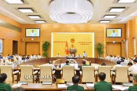 Cho ý kiến về dự thảo Luật Xuất nhập cảnh