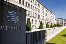 WTO hạ dự báo tăng trưởng thương mại hàng hóa toàn cầu năm 2019 xuống còn 1,2%