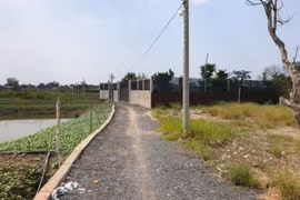UBND TP.HCM chỉ đạo thanh tra toàn diện quản lí đất đai, xây dựng tại Bình Chánh
