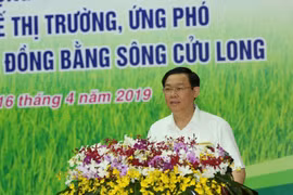Coi trọng phát triển Hợp tác xã về chất lượng chứ không chỉ chạy theo số lượng