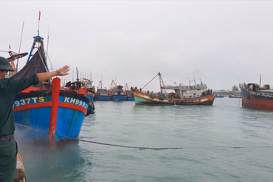 ninh thuan cam tau thuyen ra khoi de ung pho voi bao rai hinh 1