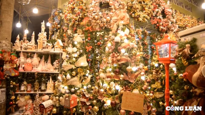 nguoi dan ha noi hao huc len nha tho lon pho hang ma choi noel som hinh 12