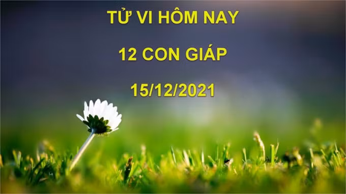 tu vi hom nay 15 12 2021 thu 4 ngay 12 11 am lich cua 12 con giap hinh 1