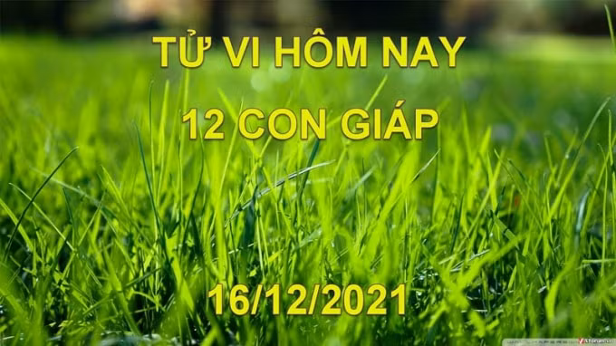 tu vi hom nay 16 12 2021 thu 5 ngay 13 11 am lich cua 12 con giap hinh 1