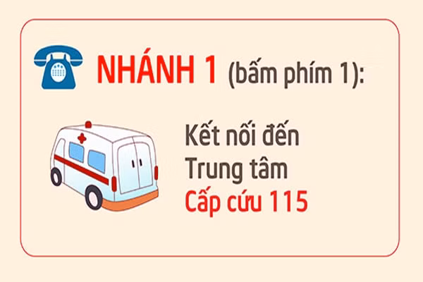 ha noi cong bo mo rong tong dai dien thoai 1022 phuc vu dieu tri f0 tai nha hinh 2