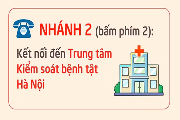 ha noi cong bo mo rong tong dai dien thoai 1022 phuc vu dieu tri f0 tai nha hinh 3