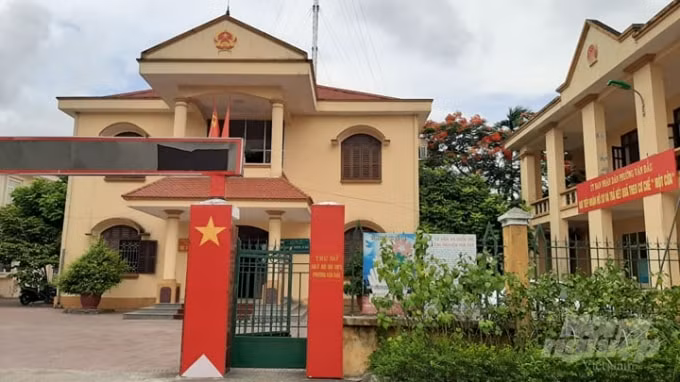 hai phong loat can bo tai quan kien an bi dinh chi cong tac hinh 1