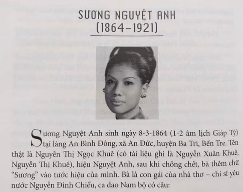 google xin loi vi nham anh nu si suong nguyet anh hinh 2