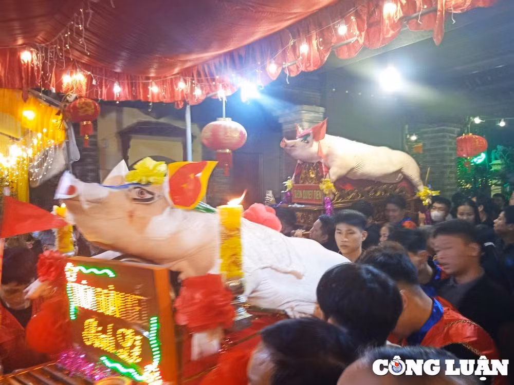 doc dao le ruoc ong lon o la phu hinh 12