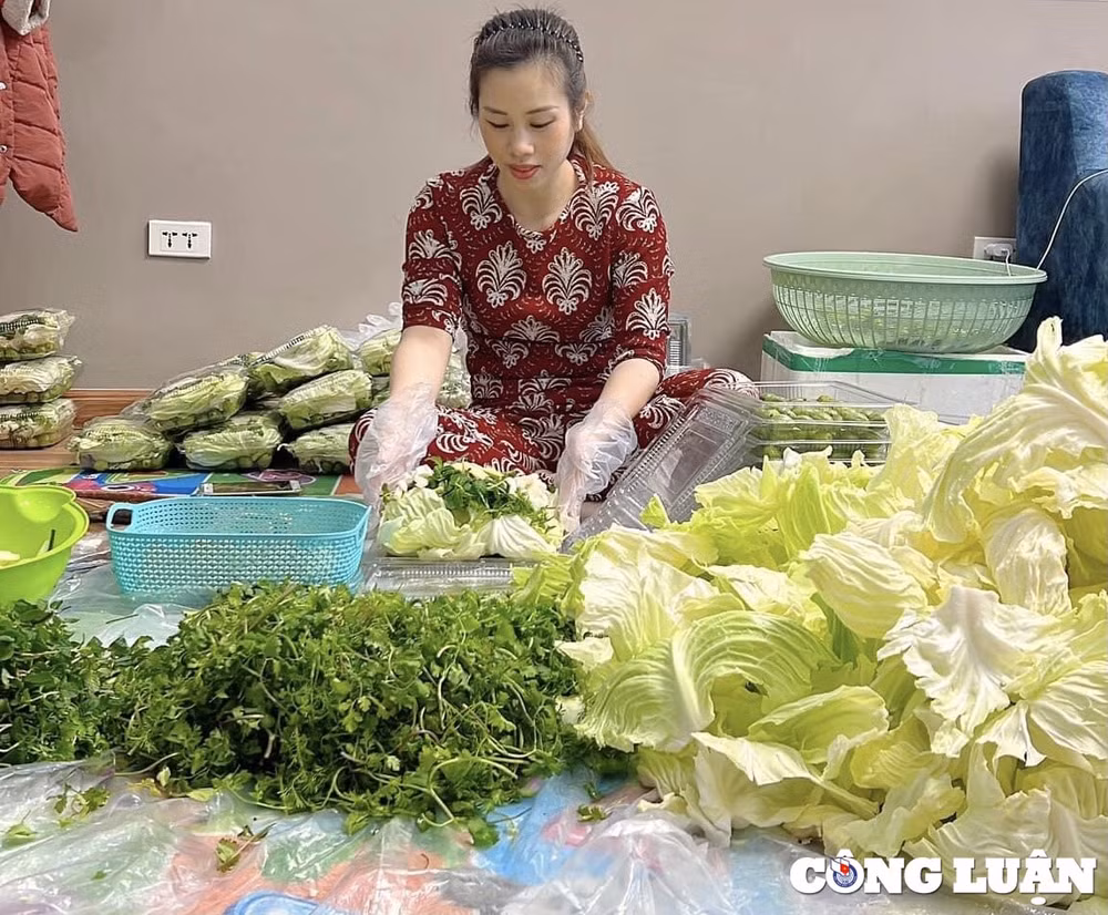 nhot xanh cham cham cheo gay sot tro lai khien hoi chi em phat cuong hinh 2