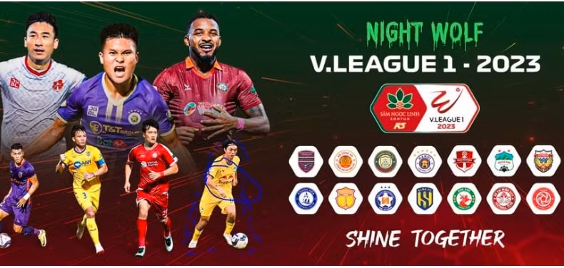 ban to chuc giai vleague xoa hinh anh cua cau lac bo hagl hinh 2