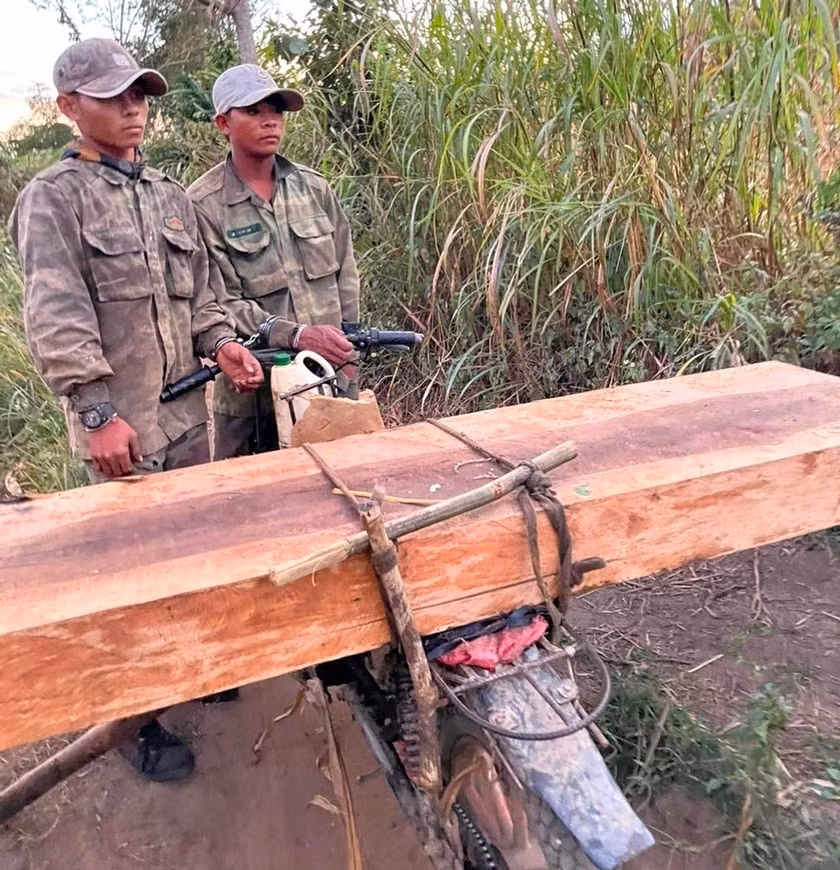 gia lai hon 150 cay go bi don ha xe hop o kong chro hinh 1