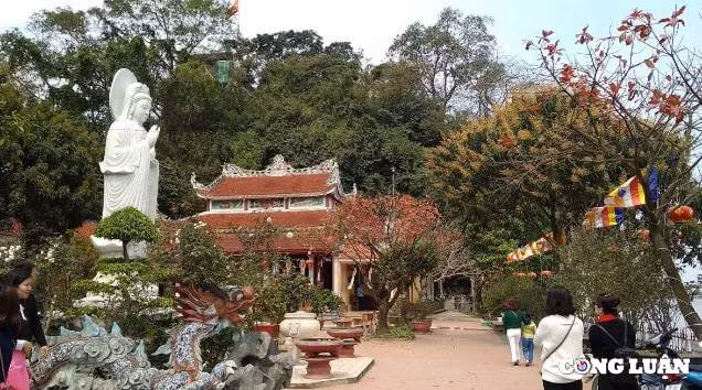 say dam ve huyen bi cua chon tam linh chua non nuoc ninh binh hinh 2