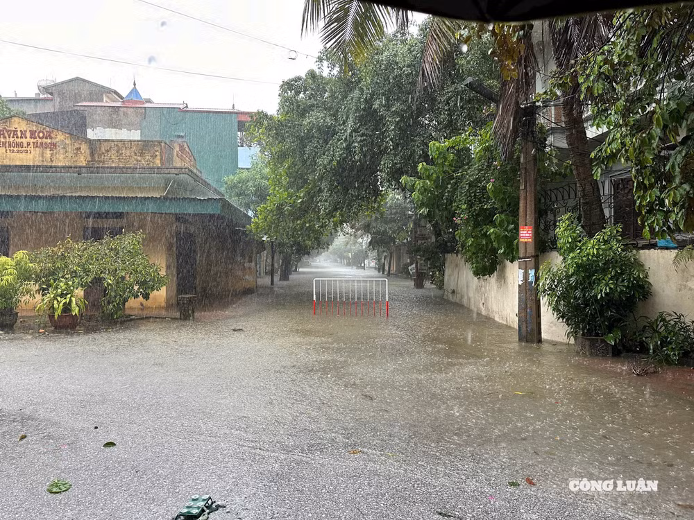 Đường Nguyên Hồng, Phường Hạc Thành