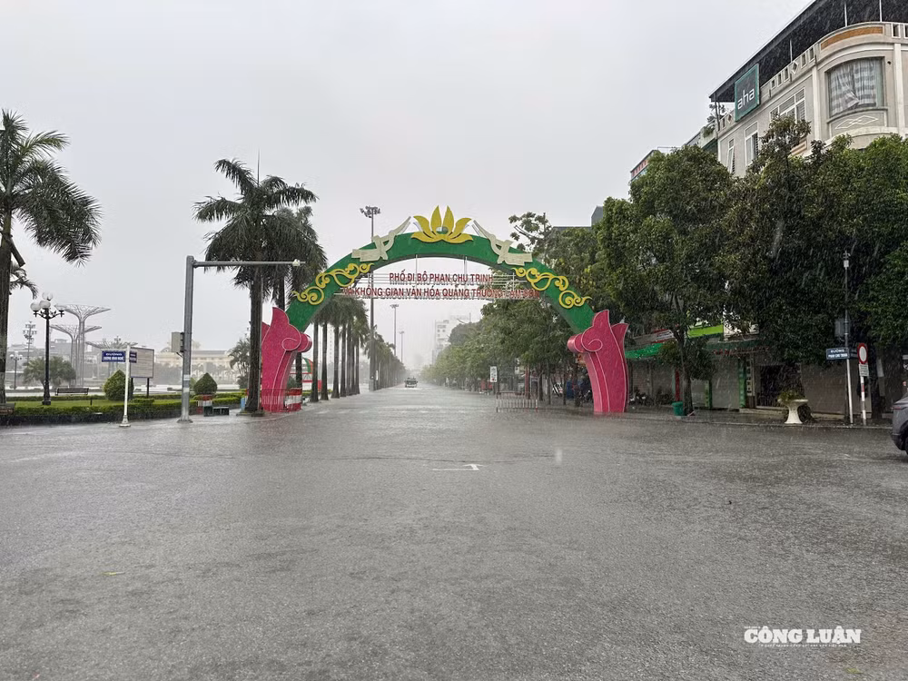 Phố đi bộ Phan Chu Trinh, Phường Hạc Thành