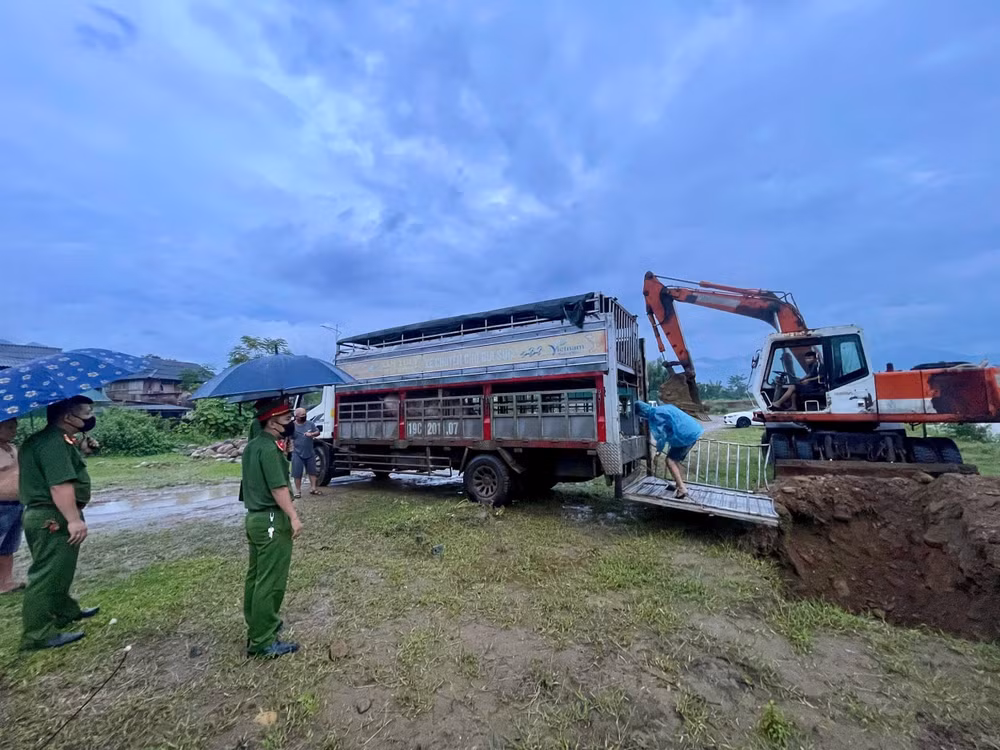 Toàn bộ số lợn nhiễm bệnh bị tiêu huỷ theo đúng quy trình
