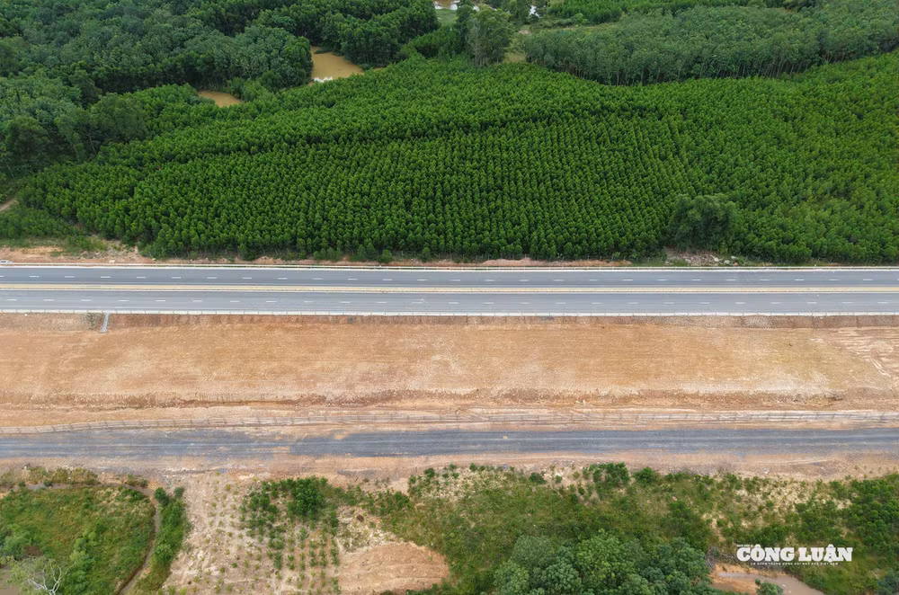 dji_20250725144640_0119_d(1).jpg