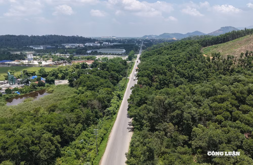 dji_20250717121659_0046_d.jpg