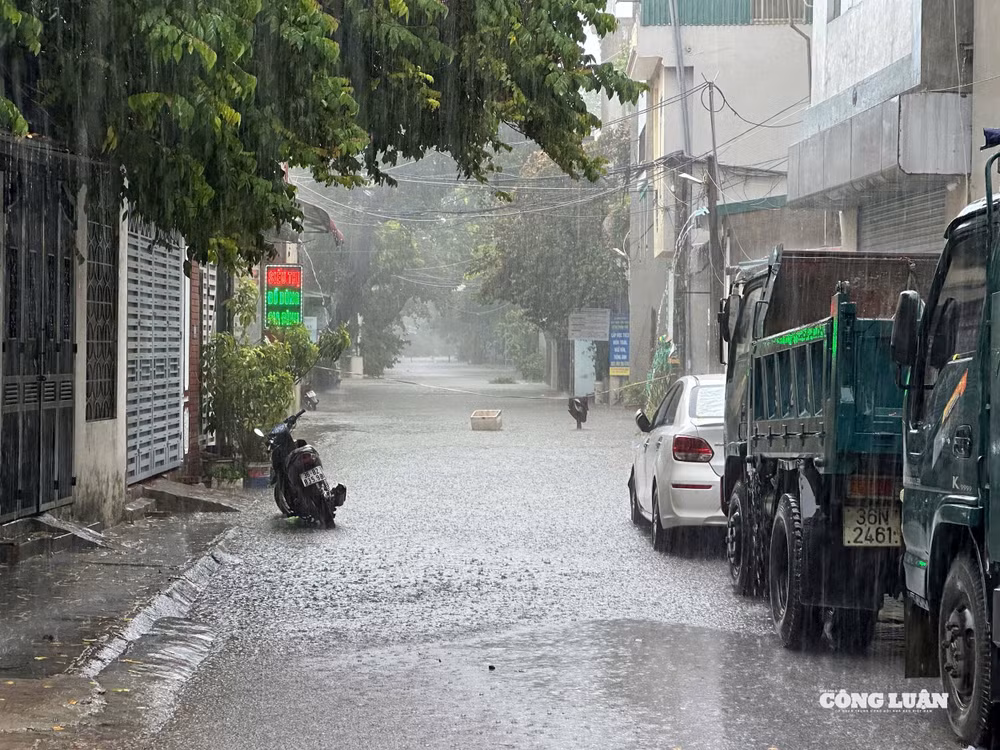 Đường Phú Thọ, Phường Hạc Thành