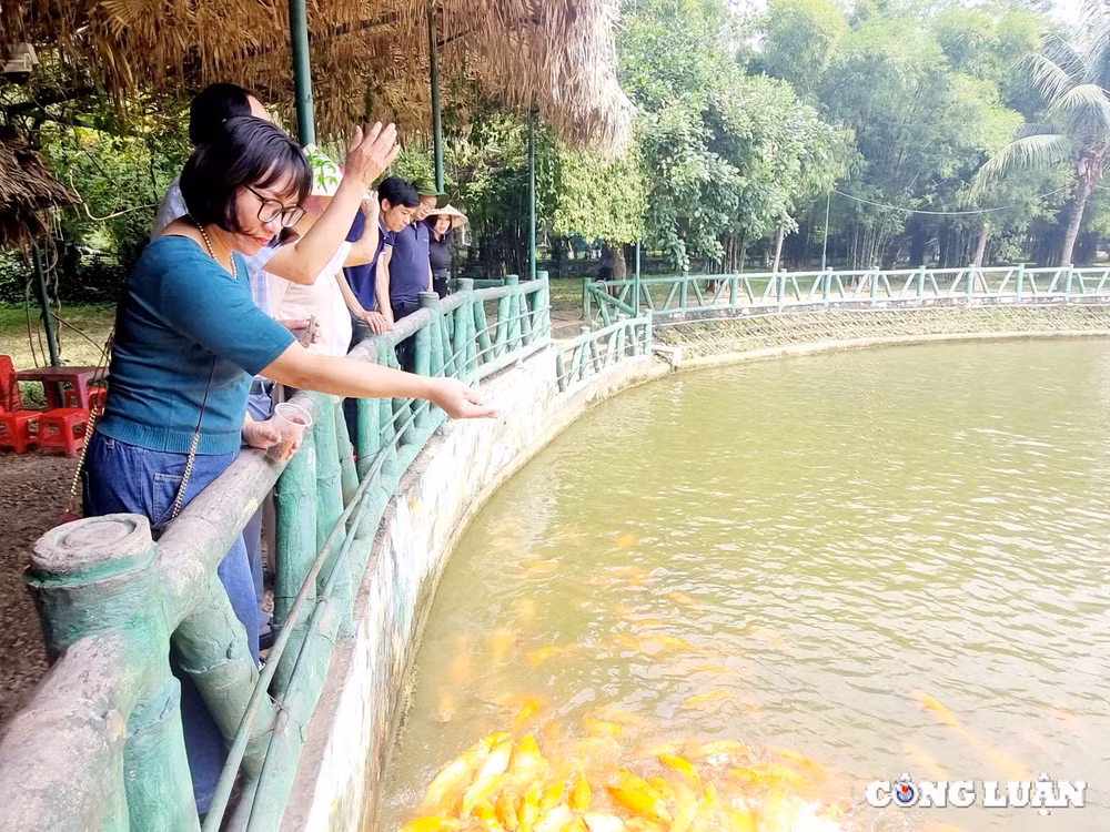 doan can bo phong vien bao nha bao va cong luan ve tham que bac hinh 8