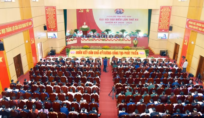 images2950611_TB_4