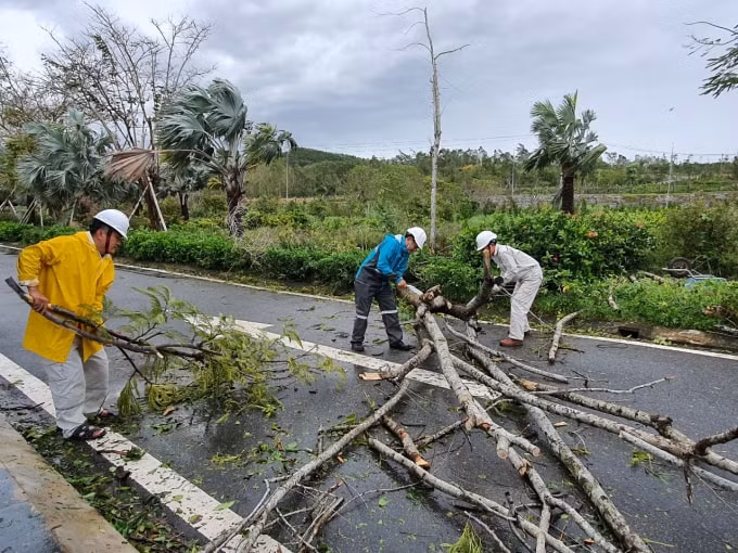 CBCNV Công ty tiến hành thu gom, dọn dẹp sau bão số 9