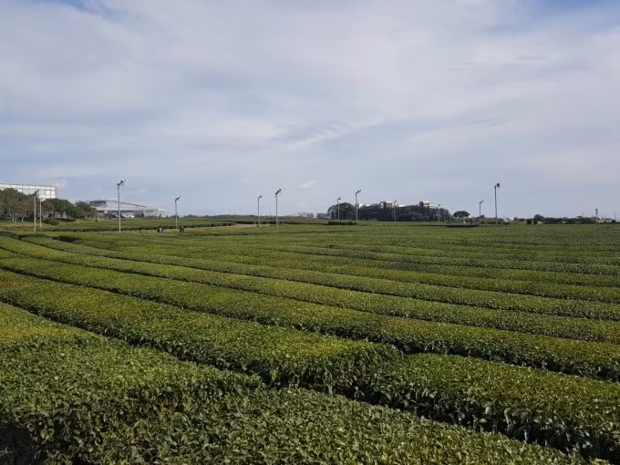 20191027_125403