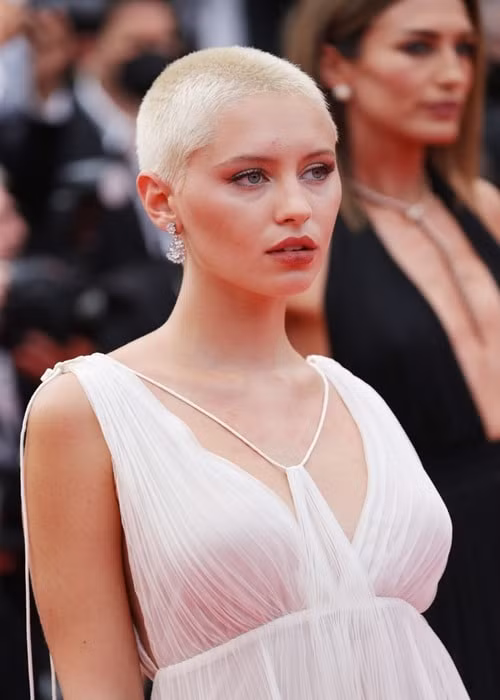 Iris Law
