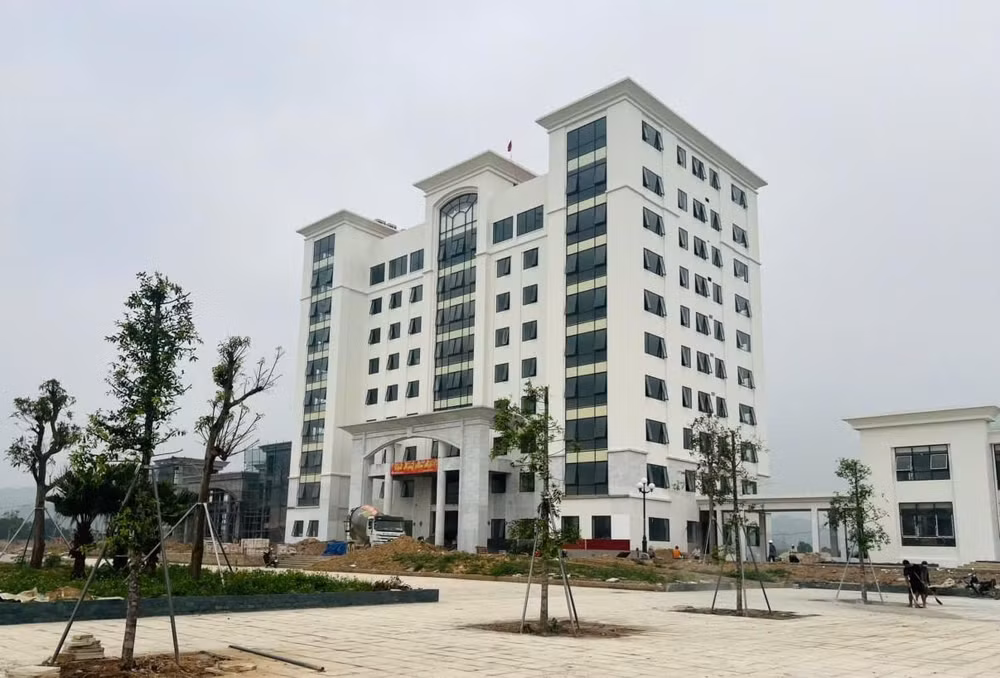 hoa lư mới