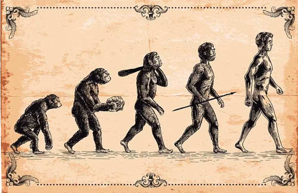 Con người hiện đại, Homo sapiens, có thể đã có lợi thế sinh tồn nhờ một enzyme độc nhất. Ảnh: VocalMedia/Lee Karanja.