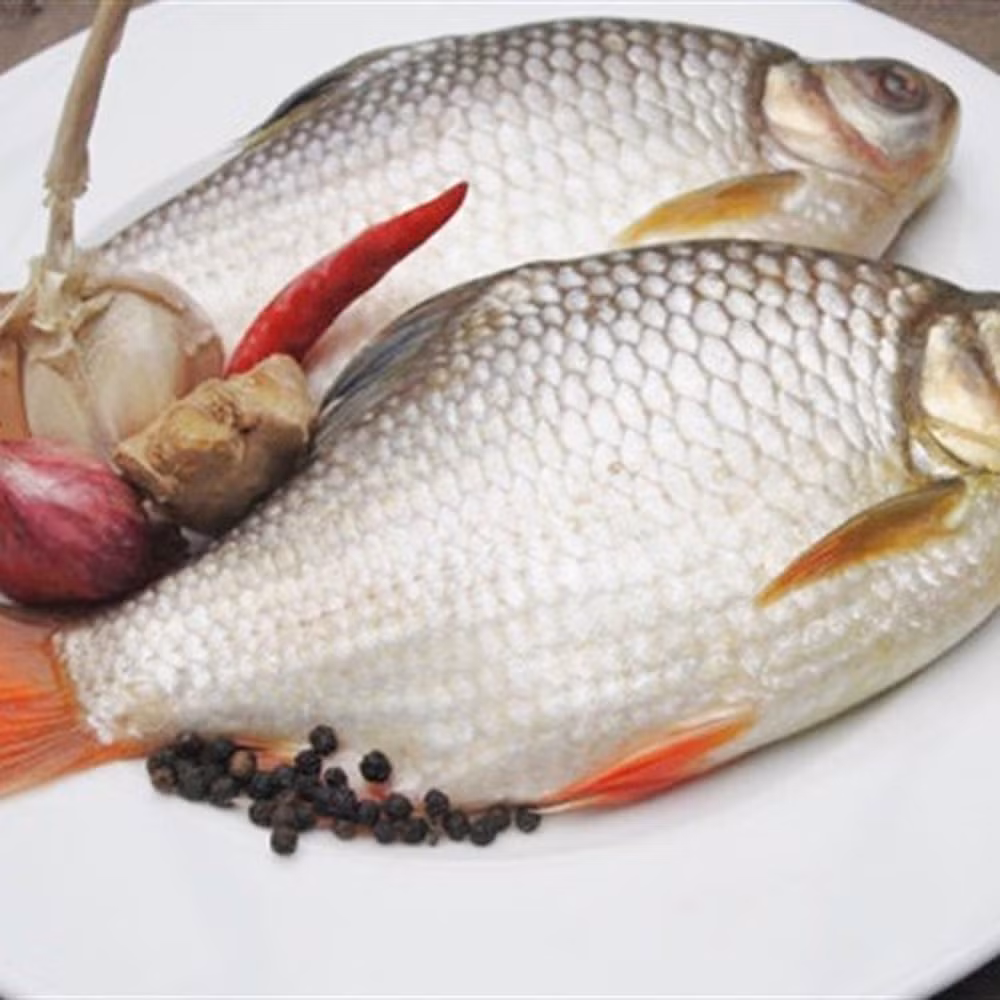 nhung mon an bai thuoc hay tu ca diec hinh 2