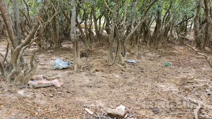 Đa phần rác thải từ những cuộc vui chơi, ăn uống của du khách.