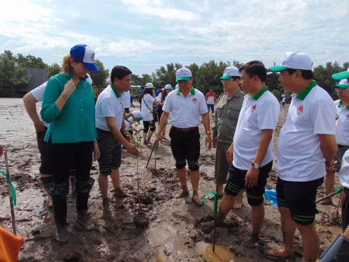 Các đại biểu tham gia trồng rừng ngập mặn.