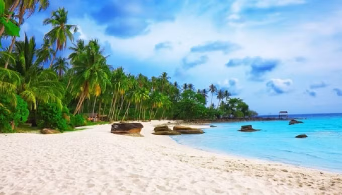 Đất nền ven biển đang được dẫn đầu xu hướng.