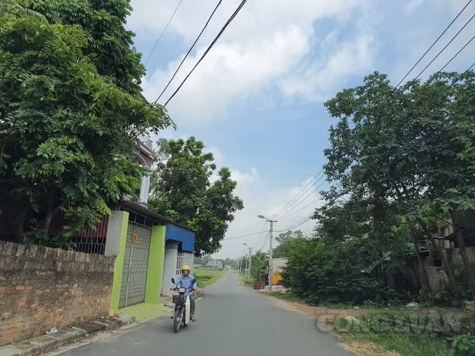 Đường làng sạch đẹp nhờ xây dựng nông thôn mới