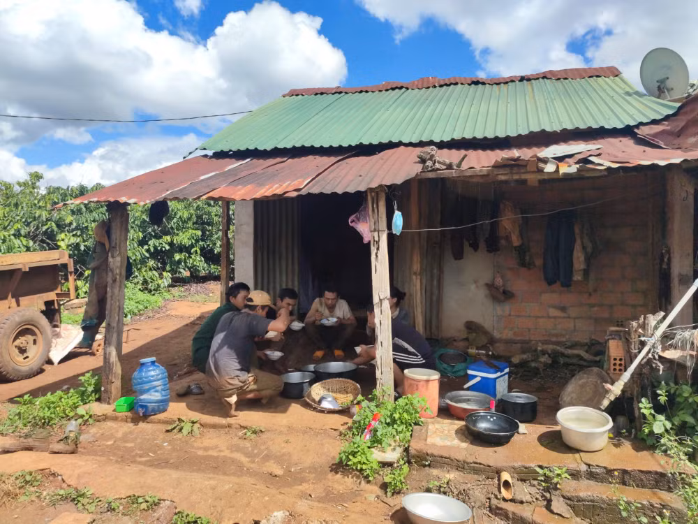 gia lai nguoc ngan hai tet hinh 1