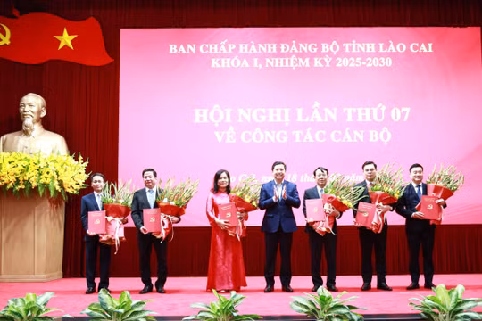 Lào Cai kiện toàn nhân sự Ban Chấp hành, Ban Thường vụ Tỉnh ủy