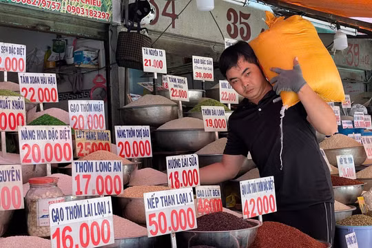 Giá lúa gạo hôm nay 26/12: Giá lúa ĐBSCL tăng 100 – 300 đồng/kg