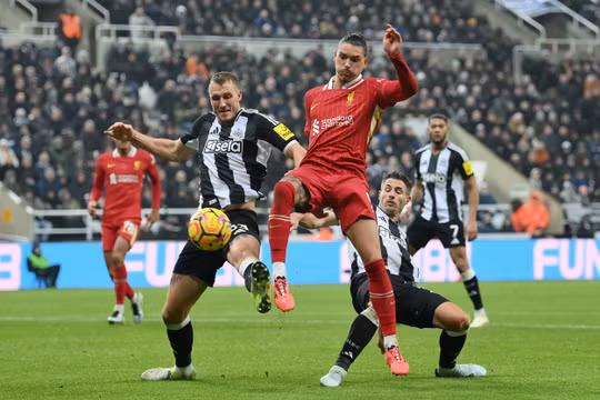Nhận định, dự đoán Liverpool vs Newcastle: Tấn công mãn nhãn