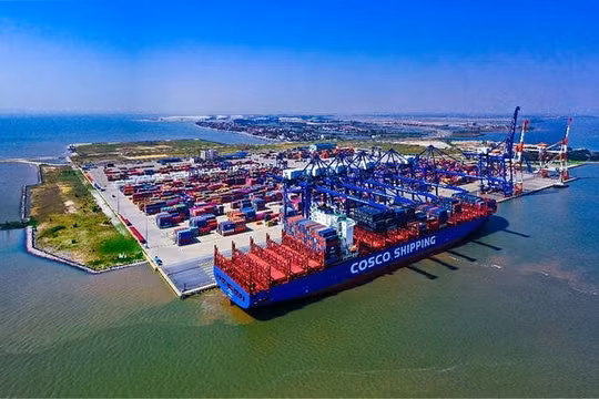 Cảng Hải Phòng (PHP) đặt mục tiêu lãi kỷ lục 1.520 tỷ đồng, chi gần 900 tỷ cho đầu tư tài chính, giữ cổ tức 6%