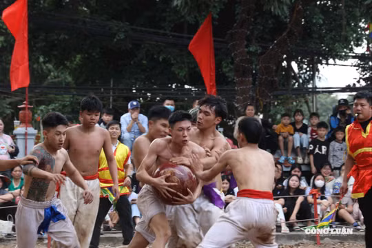 Hà Nội: Sôi nổi hội vật cầu làng Thúy Lĩnh xuân Bính Ngọ 2026