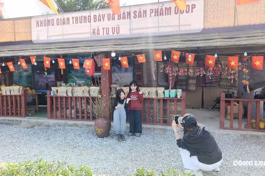 Trào lưu du xuân 'chữa lành': Chọn đồi chè Phú Thọ thay vì chen chân các điểm du lịch nổi tiếng