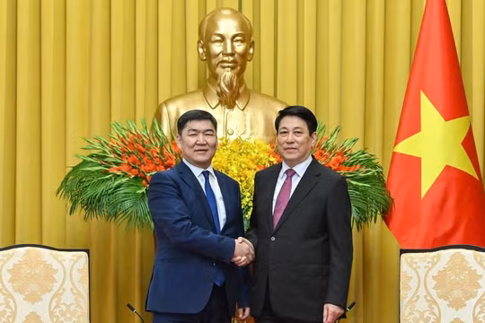 Chủ tịch nước Lương Cường tiếp Chánh án Tòa án tối cao Mông Cổ Ganzorig Damdin
